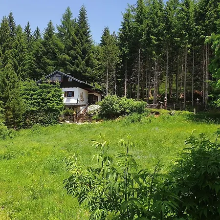 Semesterbostad Almferienhaus Gaisegg Am Klippitztoerl *